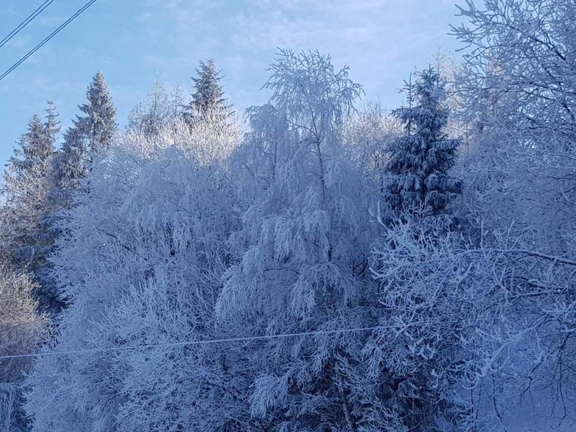Agroturystyka Koronkowe Zacisze Koniaków Buitenkant foto